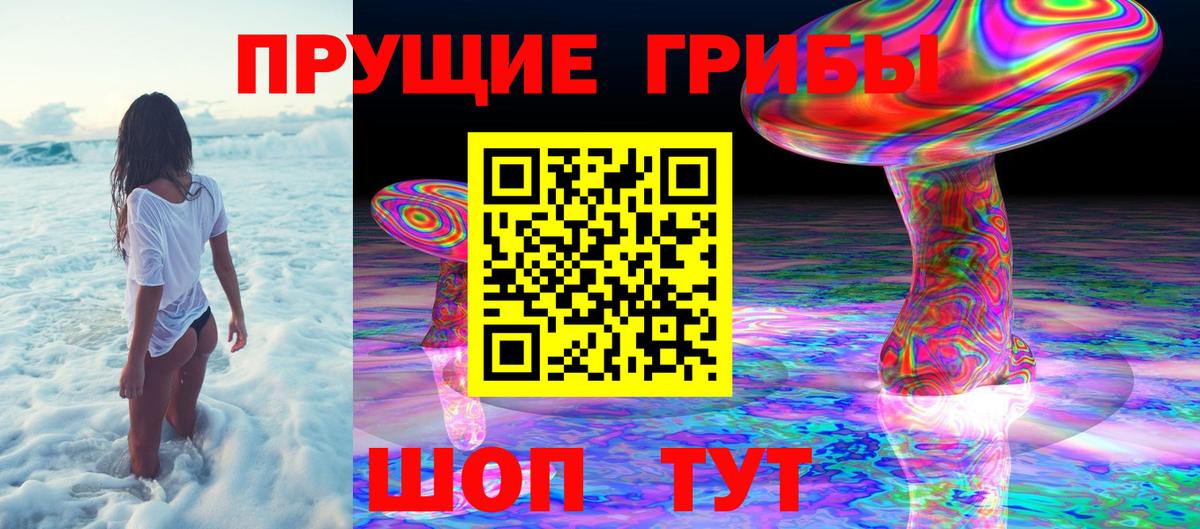 Галлюциногенные грибы Psilocybe Смоленск
