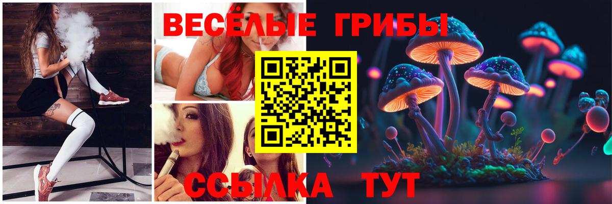 Галлюциногенные грибы GOLDEN TEACHER  купить  цена  Смоленск  Вход с VPN 